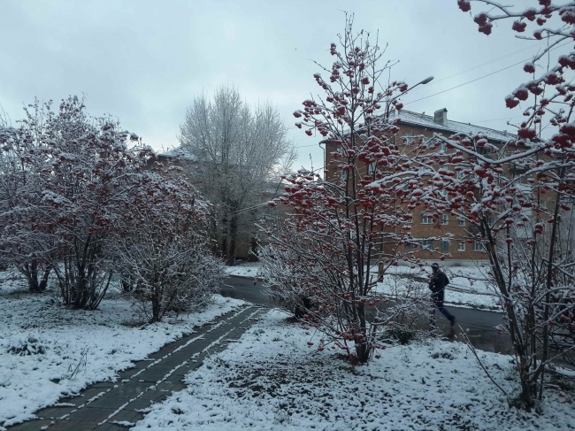 2015-10-22 07-48-42.JPG