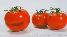 Британские ученые обнаружили ген счастья