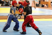 Ачинские спортсмены завоевали 9 наград высшего достоинства на фестивале единоборств