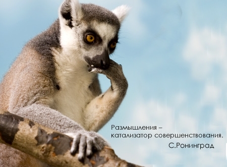 Международный День философии - третий четверг ноября (20 ноября)