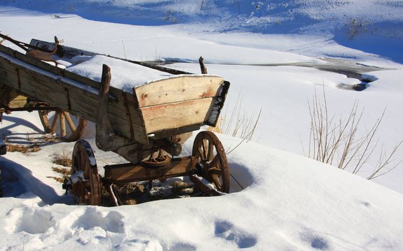 Починки - 16 февраля