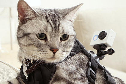 Xiaomi выпустила конкурента GoPro за 64 доллара