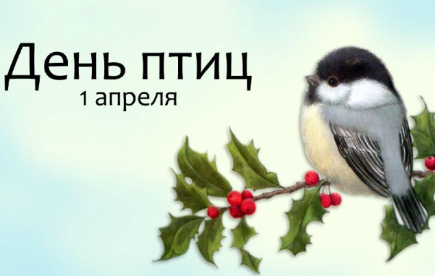 Международный день птиц - 1 апреля