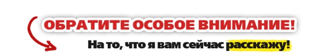 Отстрел собак в Ачинске