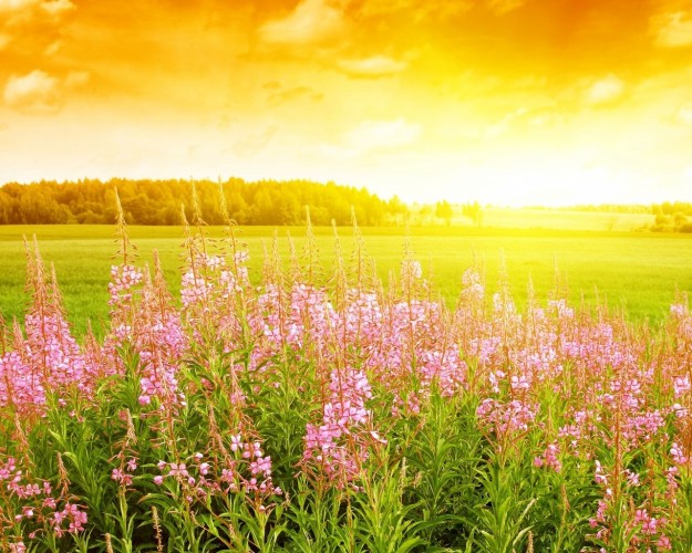 В Ачинске к середине недели потеплеет