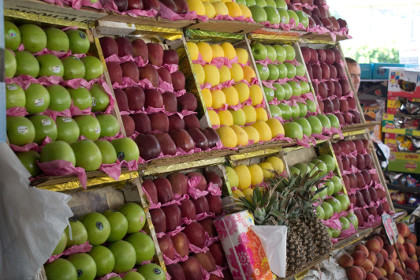 Египет предложил поставлять в Россию свою продукцию вместо турецкой