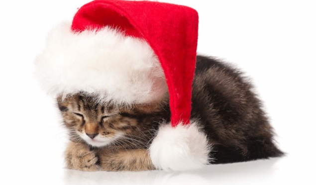 С четверга в Ачинске резко потеплеет