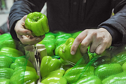 В России пригрозили запретить турецкий перец