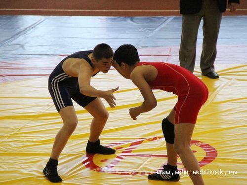 В Ачинске пройдет Фестиваль по видам единоборств на кубок Главы города