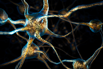 Причину ухудшения памяти нашли в кишечнике