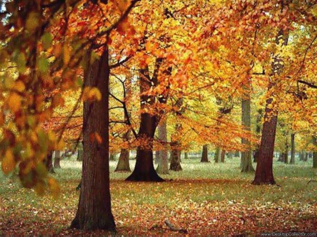 Ачинцев ждет теплая и солнечная неделя