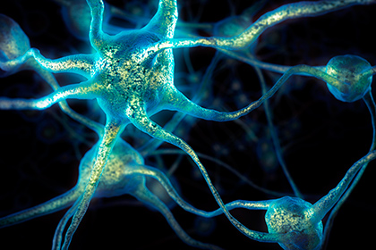 Назван способ перестать быть злопамятным