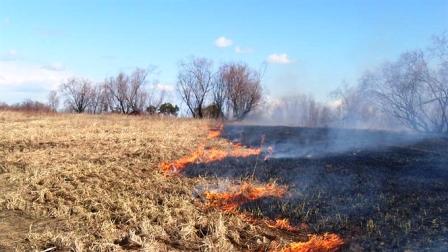 Почти 400 человек смогли отстоять село в ночной битве со степным пожаром
