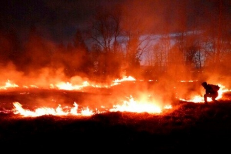 Число лесных пожаров в Красноярском крае сократили втрое