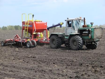 В Красноярском крае зерновыми засеяли 90 % полей