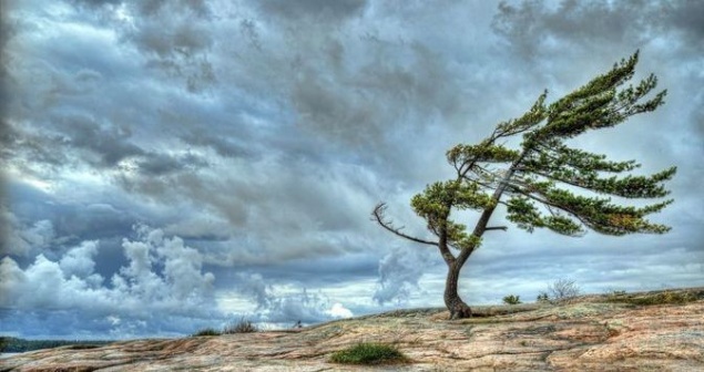 Ученые объяснили причины частых сильных ветров в Сибири