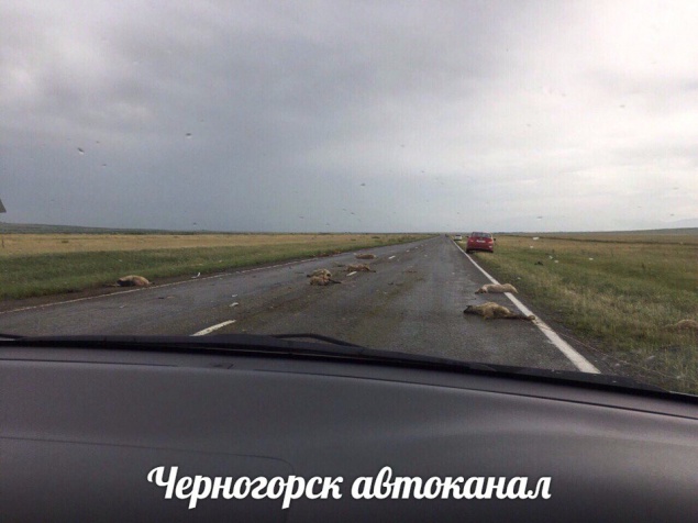 Массовое ДТП с баранами