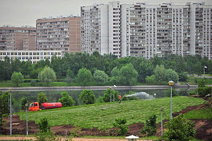 На берегу Москвы-реки нашли десяток пакетов и коробки с человеческими останками