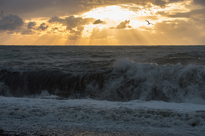 Россиянка в Абхазии решила искупаться во время шторма и утонула