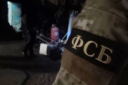 Тульский пенсионер собирался с помощью арбалета и взрывчатки отомстить за дочь
