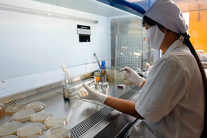 Замедляющая старение таблетка оказалась средством от рака