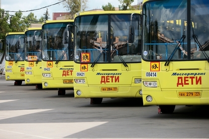 На автобусы с детьми поставят мигалки