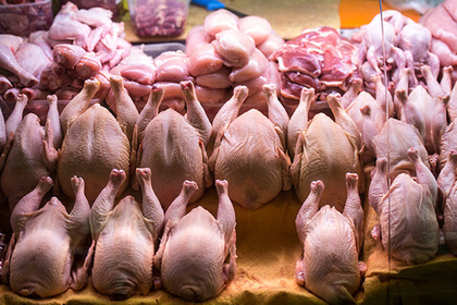 Куриное мясо в России оказалось опасным для жизни