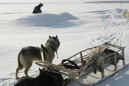 Собака застрелила охотника в Поволжье