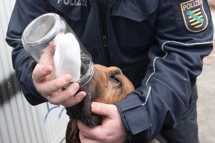 Ученые связали непереносимость запаха пота и любовь к диктатуре