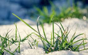 Синоптики обещают морозы в будние дни и потепление к выходным