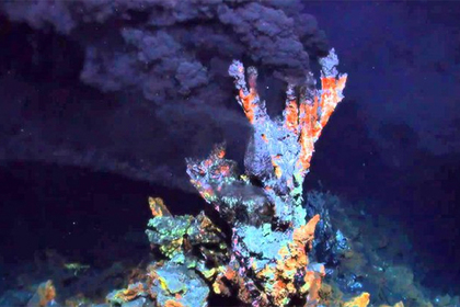 Создана новая форма жизни