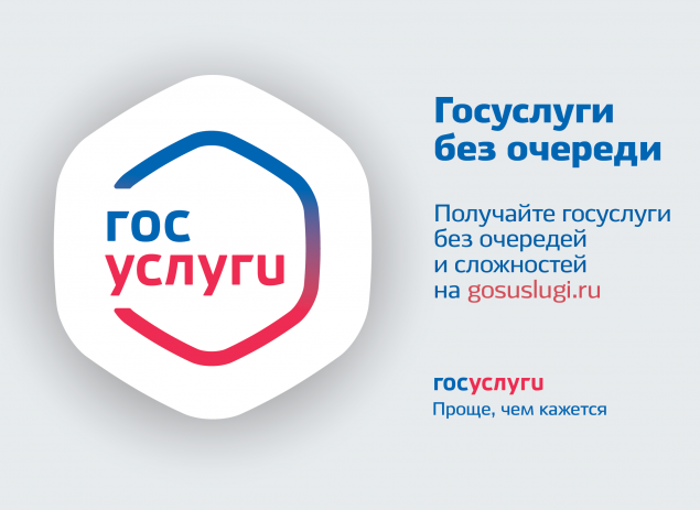 Госавтоинспекторы напоминают о преимуществах использования сайта Госуслуги