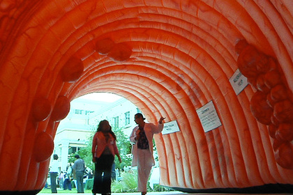 Выявлена легко устранимая причина рака