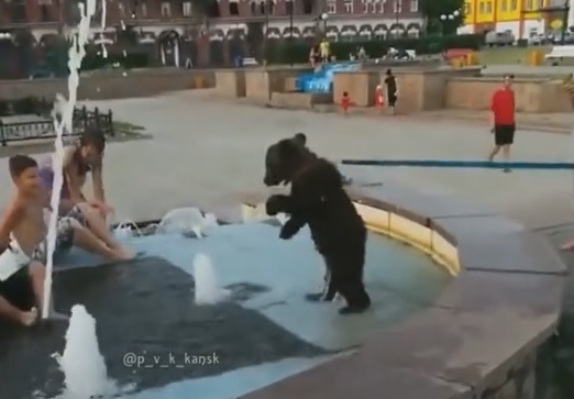 В Канске медвежонок искупался в городском фонтане