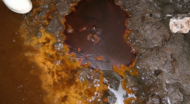 В Норильске лужу с ржавчиной приняли за кровавый дождь