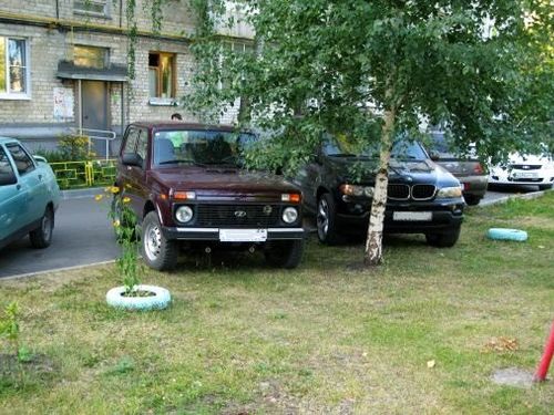 В Ачинске продолжается городская акция «Спаси газон»