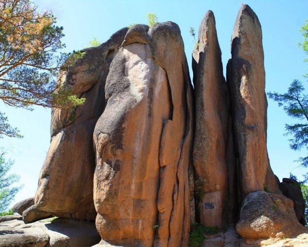 Медведи ушли из туристической зоны «Столбов»