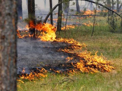 ЕДДС, ГО и ЛЧС напоминает ачинцам о необходимости соблюдения правил пожарной безопасности