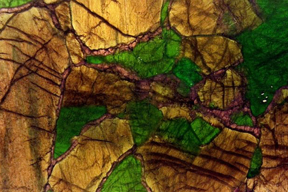 Объяснена причина самой страшной катастрофы на Земле