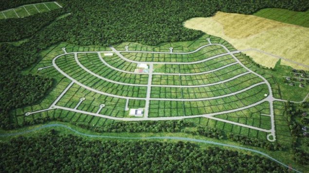 Росреестр дал рекомендации по приобретению земли жителям Красноярского края