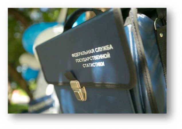 Жителей Красноярского края просят поучаствовать в самой необычной и масштабной переписи населения