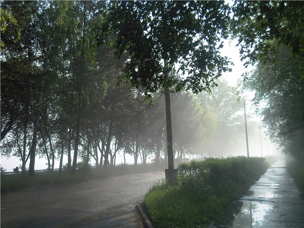 Пропавшую учительницу в Дивногорске начали искать с водолазами. Проверяют страшную версию