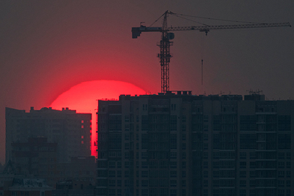 Россиянка заработала 180 миллионов рублей на недвижимости и попала в тюрьму