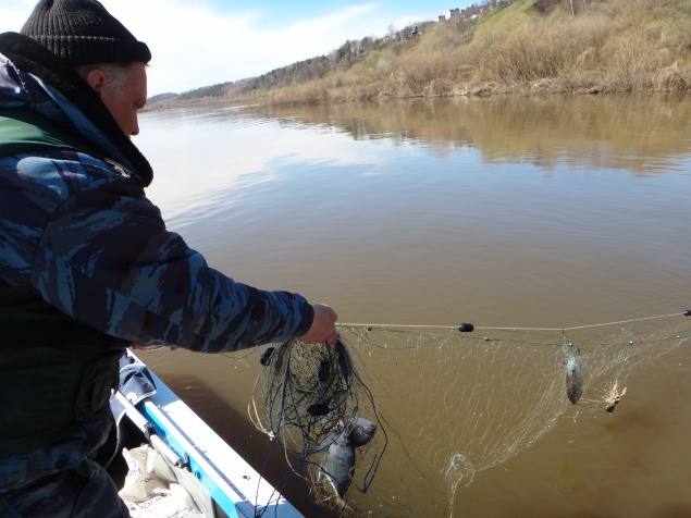 Полицейские Ачинска продолжают комплекс мероприятий по профилактике фактов незаконного вылова рыбы