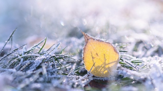 В Ачинске и Ачинском районе этой ночью будет морозно и туманно
