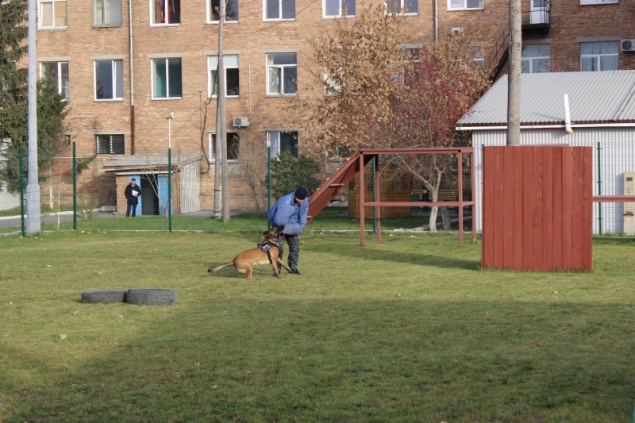 Межмуниципальный отдел МВД России «Ачинский» присоединился к проведению Всероссийской акции «Неделя без турникетов»