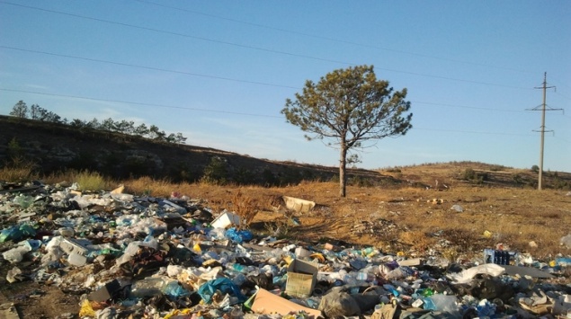 Отсрочат или нет: Красноярский край оказался не готов к мусорной реформе