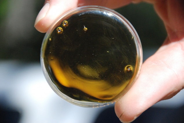 В России предложили легализовать ввоз наркотиков для исследований