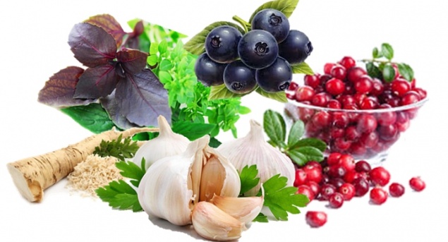 ПЯТЕРКА ЛУЧШИХ ПРИРОДНЫХ АНТИБИОТИКОВ