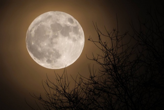 Самую большую Луну 2019 года смогут наблюдать жители Красноярского края